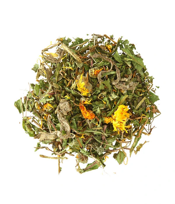 Dehner Löwenzahn, 100 G 4 Dehner Löwenzahn, 100 G – Bild 2