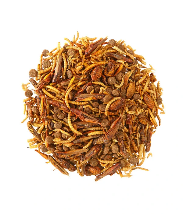 Dehner Natura Igel-Delikatesse, 100g 4 Dehner Natura Igel-Delikatesse, 100g – Bild 2