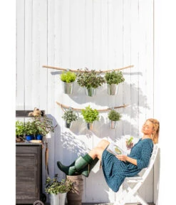 Dehner Gourmet Garten Zitronenmelisse 7 Dehner Gourmet Garten Zitronenmelisse -Dehner 20181011 PR MO 003 Kraeuter 01