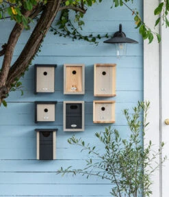 Dehner Natura Nistkasten Diana, Ca. B19/H19/T19 Cm -Dehner 20221026 WE MO 001 DehnerNaturaNistkaestenPatkar 1