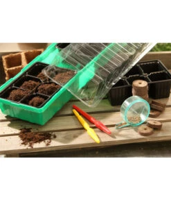 Dehner Zimmergewächshaus Frans, 54 X 15 X 12 Cm 9 Dehner Zimmergewächshaus Frans, 54 X 15 X 12 Cm -Dehner 207456 BildM 002 RombergZimmergewaechshausFransFensterbGewH54X15x12