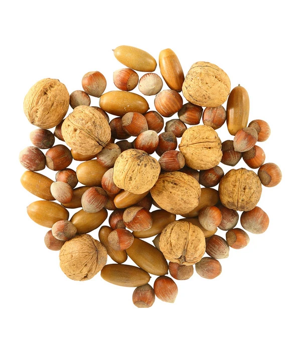 Dehner Natura Eichhörnchenfutter Nussmix, 250 G 4 Dehner Natura Eichhörnchenfutter Nussmix, 250 G – Bild 2