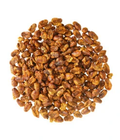 Dehner Aqua Teichfischsnack Seidenraupen, 300 G -Dehner 2508653 WE D 001 DehnerAquaTeichsnackSeidenraupen300g