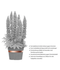 Dehner Bio Schneckenband Kupfer, 5 M 9 Dehner Bio Schneckenband Kupfer, 5 M -Dehner 2536555 WE IG 001 DehnerBioSchneckenbandKupfer5m