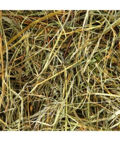 Dehner Bio Bergwiesenheu, 1,25 Kg -Dehner 2577856 WE D 001 DehnerBIOBergwiesenheu1250g