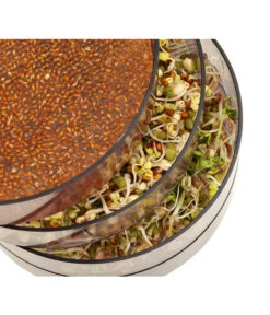 Dehner Sprossenhaus, 4 Schalen 8 Dehner Sprossenhaus, 4 Schalen -Dehner 3677101 WE MO 002 DehnerSprossenhausKeimsprossen