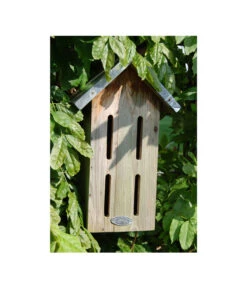 Dehner Natura Schmetterlingskasten 8 Dehner Natura Schmetterlingskasten -Dehner 3880036 BildM 001 SchmetterlingskastenSchmetterlingskasten