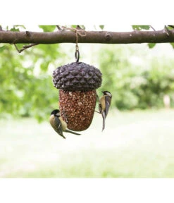 Dehner Natura Futterstelle Eichel