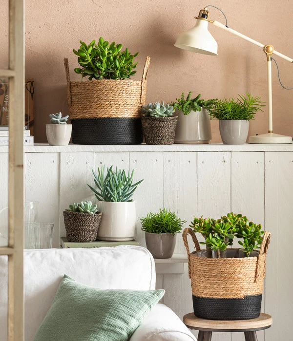 Dehner Seegras-Korb Rob, Rund, Braun/schwarz 4 Dehner Seegras-Korb Rob, Rund, Braun/schwarz – Bild 2