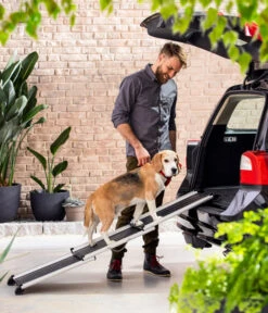 Dehner Premium Hunderampe Stairway, Ca. B161/T42 Cm -Dehner 4117057 WE MO 001 DehnerHunderampeStairway