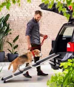 Dehner Premium Hunderampe Stairway, Ca. B161/T42 Cm -Dehner 4117057 WE MO 003 DehnerHunderampeStairway