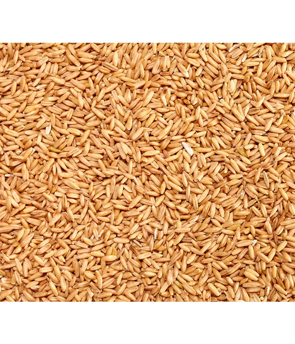 Dehner Geschälter Hafer, 1 Kg 4 Dehner Geschälter Hafer, 1 Kg – Bild 2