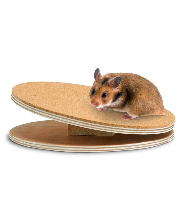 Dehner Laufteller Korky, 25cm 3 Dehner Laufteller Korky, 25cm