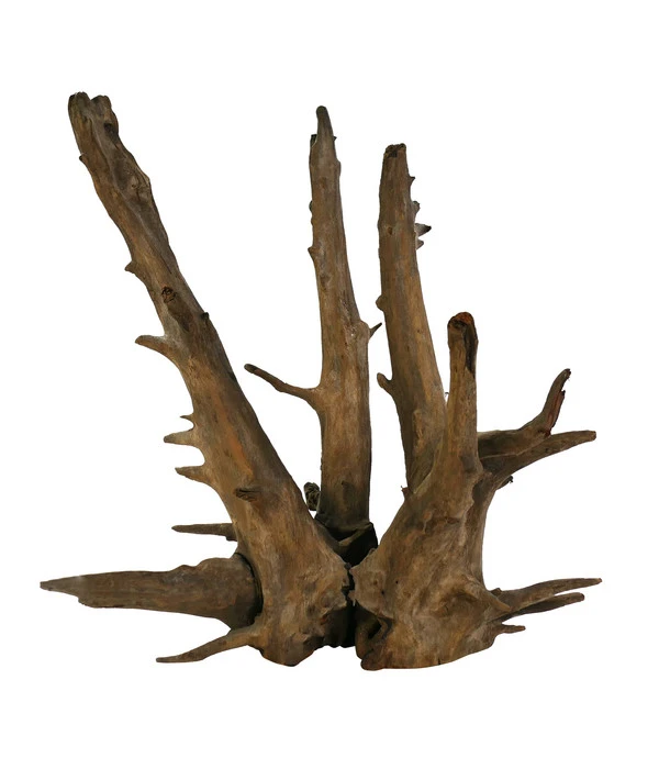 Dehner Aqua Corbo-Wurzel Nano, Ca. B14/H20/T12 Cm 3 Dehner Aqua Corbo-Wurzel Nano, Ca. B14/H20/T12 Cm