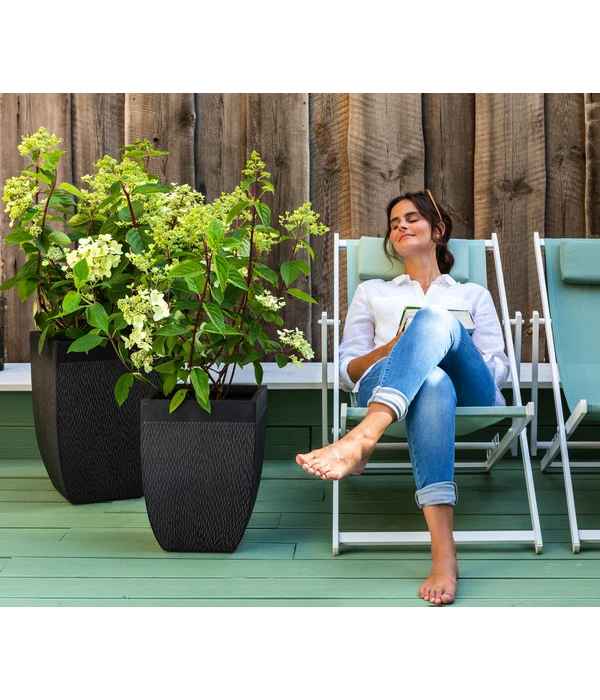 Dehner Strandstuhl Aruba 5 Dehner Strandstuhl Aruba – Bild 3