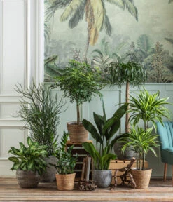 Dehner Seegras-Korb Igmar, Konisch 12 Dehner Seegras-Korb Igmar, Konisch -Dehner 4439014 WE MO 004 IgmarBraun