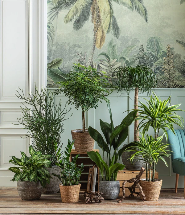 Dehner Seegras-Korb Igmar, Konisch 6 Dehner Seegras-Korb Igmar, Konisch – Bild 4