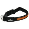 Dehner LED-Hundehalsband Flash Collar, Orange