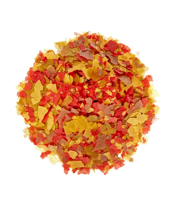 Dehner Aqua Zierfischfutter Flocken-Mix 4 Dehner Aqua Zierfischfutter Flocken-Mix – Bild 2