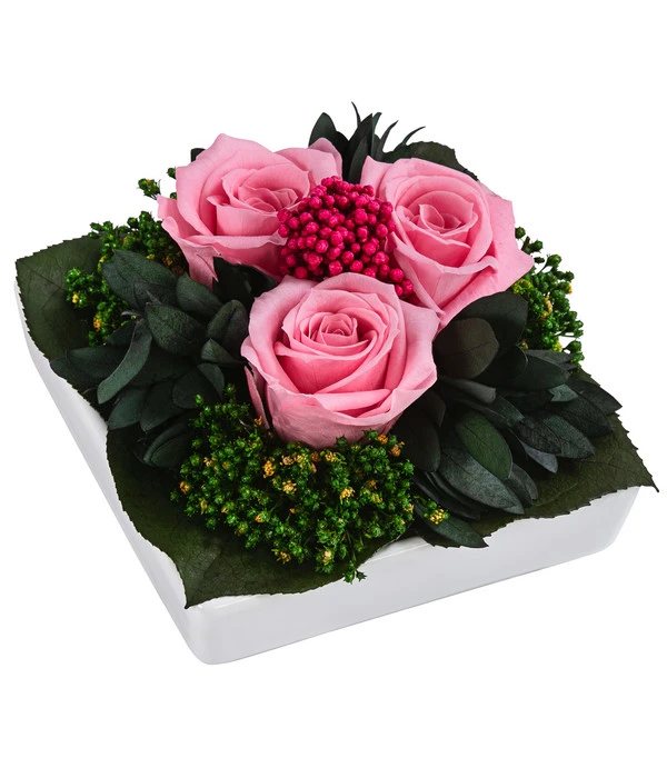 Dehner Keramik-Schale Mit Longlife-Rose Zina, Ca. B9,5/H6 Cm 3 Dehner Keramik-Schale Mit Longlife-Rose Zina, Ca. B9,5/H6 Cm