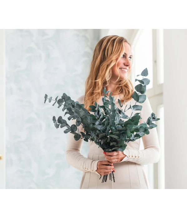 Trockenblumenbund Eukalyptus, Dunkelgrün 4 Trockenblumenbund Eukalyptus, Dunkelgrün – Bild 2