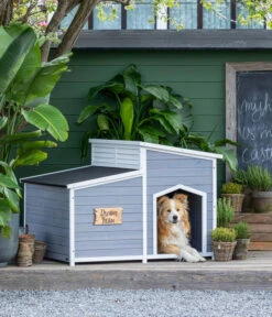 Dehner Lieblinge Hundehütte Balu, Ca. B128/H91/T88,5 Cm 11 Dehner Lieblinge Hundehütte Balu, Ca. B128/H91/T88,5 Cm -Dehner 6607295 WE MO 002 DehnerLieblingeHundehuetteBalu