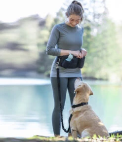 Dehner Lieblinge Joggingtasche Mit Hundeleine Hands Free -Dehner 6690978 WE MO 002 DehnerLieblingeJoggingleine