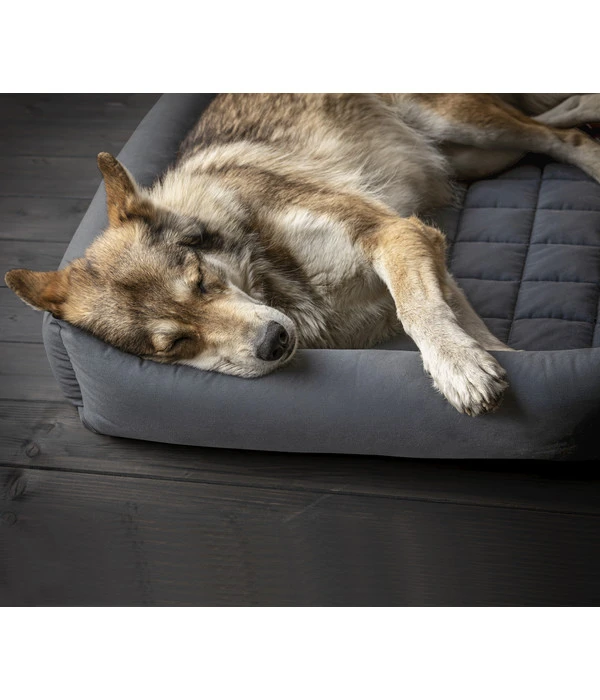 Dehner Wild Nature Hundebett Nest 4 Dehner Wild Nature Hundebett Nest – Bild 2