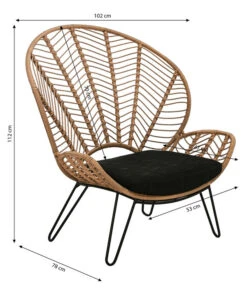 Dehner Geflechtsessel Venezia -Dehner 6701650 WE BG 001 GeflechtsesselVenezia