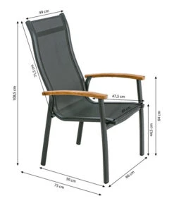 Dehner Stapelstuhl Chicago Wood -Dehner 6701866 WE BG 001 StapelstuhlChicagoWoodNEU