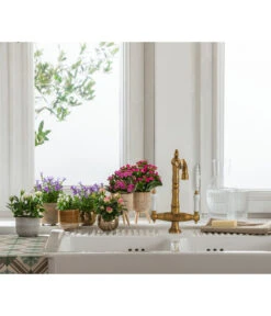 Dehner Beton-Übertopf Gaby, Rund, Ca. Ø7,5 Cm 7 Dehner Beton-Übertopf Gaby, Rund, Ca. Ø7,5 Cm -Dehner 6733604 4461554 6732606 6733604 6732929 WE MO 002 TopfGabyTopfKody