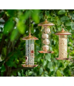 Dehner Natura Futtersäule Chloe -Dehner 6733745 6735765 6735773 WE M 001 NaturaKupferFutteraeule