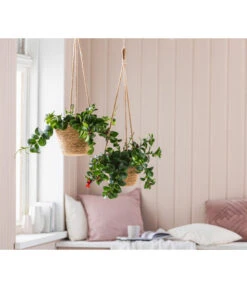 Dehner Seegras-Ampel Igmar -Dehner 6759393 WE MO 005 AmpelIgmarBraun