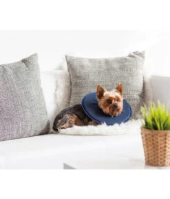 Dehner Lieblinge Leckschutzkragen Für Hunde & Katzen -Dehner 6813794 WE MO 002 DLTiergesundheitLeckschutzkragenXSneu