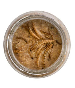 Dehner Natura Erdnussbutter Im Glas, Mehlwürmer, 8 X 340 G -Dehner 6846935 WE DE 001 NaturaWildvogelErdnussbutterGlas340g