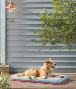 Dehner Lieblinge Cool & Warm Matte -Dehner 6893192 6893200 WE MO 002 DreamTeamSelfcoolingSelfheatingMatratze