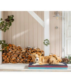 Dehner Lieblinge Cool & Warm Matte -Dehner 6893192 6893200 WE MO 004 DreamTeamSelfcoolingSelfheatingMatratze