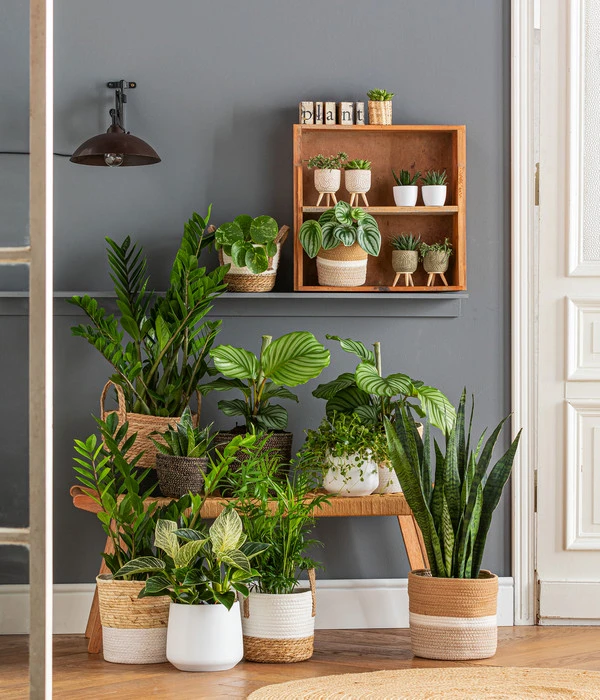 Dehner Seegras-Korb Ida, Rund 4 Dehner Seegras-Korb Ida, Rund – Bild 2