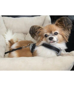 Dehner Lieblinge Reisebett Dream Team, Beige, Ca. B54/H34/T50 Cm -Dehner 6909790 WE MO 003 DehnerLieblingeTransportsofa