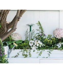 Dehner Natura Vogeltränke CLiCK, Ca. B22,5/H6,5/T21 Cm -Dehner 6968366 WE MO 002 NaturaClickVogeltraenke