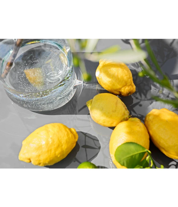 XXL Zitrone, Ca. 155-165 Cm 6 XXL Zitrone, Ca. 155-165 Cm – Bild 4