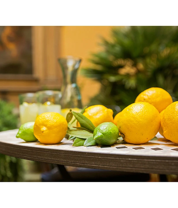 XXL Zitrone, Ca. 155-165 Cm 5 XXL Zitrone, Ca. 155-165 Cm – Bild 3