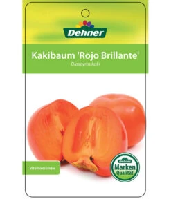 Dehner Kaki 'Rojo Brillante' - Kaki-Pflaume 'Rojo Brillante' -Dehner 7167414 KakiRojoBrillante Etikett 01