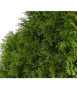 12 Meter Lebensbaum 'Smaragd', 30 X Ca. 100-125 Cm -Dehner 7513534 WE DE 001 ThujaLebensbaumOccidentalisSmaragd20LDehnerExpressHerzig 2