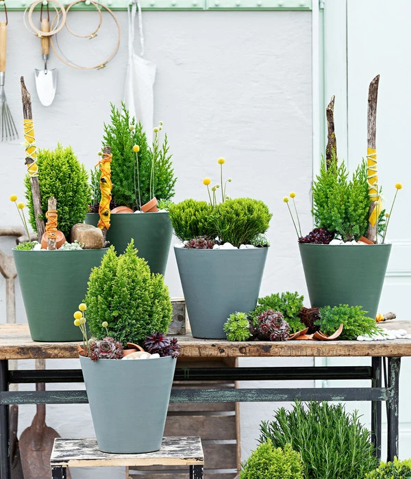 Trommelschlägel 'Golf Beauty' 8 Trommelschlägel 'Golf Beauty' – Bild 6