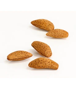 Mandelbaum 7 Mandelbaum -Dehner 7603889 WE DE 002 MandelPalatinaPrunusDulcisDehnerExpressHerzig