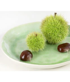 Esskastanie 'Bouche De Betizac' -Dehner 7621998 PR DE 002 CastaneaSativaBetizacEsskastanieDehnerExpressHerzig