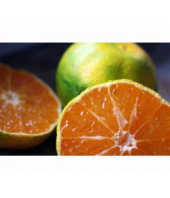 Rangpur-Limette 'Lima Rossa' 10 Rangpur-Limette 'Lima Rossa' -Dehner 7622616 WE MO 001 RangpurLimettePixabay