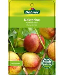 Nektarine 'Crimson Gold' -Dehner 7626005 NektarineCrimsonGold Etikett 1