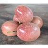 Passionsfrucht 2 Passionsfrucht -Dehner 7641327 WE DE 003 PassifloraPassionsfrucht